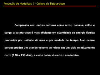 Comparada com outras culturas como arroz, banana, milho e
sorgo, a batata-doce é mais eficiente em quantidade de energia líquida
produzida por unidade de área e por unidade de tempo. Isso ocorre
porque produz um grande volume de raízes em um ciclo relativamente
curto (120 a 150 dias), a custo baixo, durante o ano inteiro.
Produção de Hortaliças I - Cultura da Batata-doce
 