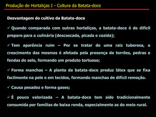 Desvantagem do cultivo da Batata-doce
 Quando comparada com outras hortaliças, a batata-doce é de difícil
preparo para a culinária (descascada, picada e cozida);
 Tem aparência ruim – Por se tratar de uma raiz tuberosa, o
crescimento das mesmas é afetada pela presença de torrões, pedras e
fendas do solo, formando um produto tortuoso;
 Forma manchas – A planta da batata-doce produz látex que se fixa
facilmente na pele e em tecidos, formando manchas de difícil remoção.
 Causa pesadez e forma gases;
 É pouco valorizada – A batata-doce tem sido tradicionalmente
consumida por famílias de baixa renda, especialmente as do meio rural.
Produção de Hortaliças I - Cultura da Batata-doce
 