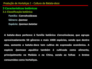 3 Características botânicas
Família : Convolvuláceas
Gênero: Ipomea
Espécie: Ipomea batatas
3.1 Classificação botânica
A batata-doce pertence à família botânica Convolvulacae, que agrupa
aproximadamente 50 gêneros e mais 1000 espécies, sendo que dentre
elas, somente a batata-doce tem cultivo de expressão econômica. A
espécie Ipomoea aquática também é cultivada como alimento,
principalmente na Malásia e na China, sendo as folhas e brotos
consumidos como hortaliças.
Produção de Hortaliças I - Cultura da Batata-doce
 