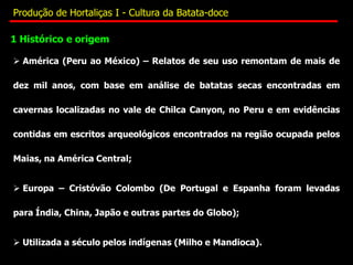1 Histórico e origem
 América (Peru ao México) – Relatos de seu uso remontam de mais de
dez mil anos, com base em análise de batatas secas encontradas em
cavernas localizadas no vale de Chilca Canyon, no Peru e em evidências
contidas em escritos arqueológicos encontrados na região ocupada pelos
Maias, na América Central;
 Europa – Cristóvão Colombo (De Portugal e Espanha foram levadas
para Índia, China, Japão e outras partes do Globo);
 Utilizada a século pelos indígenas (Milho e Mandioca).
Produção de Hortaliças I - Cultura da Batata-doce
 