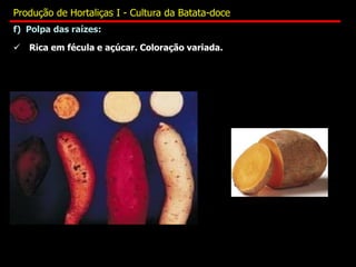 f) Polpa das raízes:
 Rica em fécula e açúcar. Coloração variada.
Produção de Hortaliças I - Cultura da Batata-doce
 