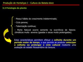 - Possui hábito de crescimento indeterminado;
- Ciclo perene;
- Tuberização contínua;
- Morte Natural ocorre somente na ocorrência de fatores
climáticos muito severos (geadas e secas muito prolongadas).
Estas características permitem efetuar a colheita durante um
período maior de tempo, o que permite ao produtor antecipar
a colheita ou prolongar o ciclo cultural mediante uma
avaliação do estado fitossanitário da lavoura.
3.3 Fisiologia da planta
Produção de Hortaliças I - Cultura da Batata-doce
 