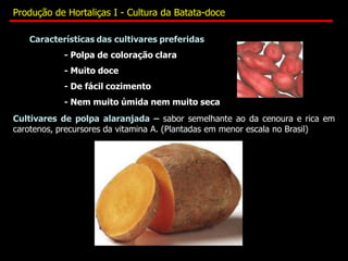 Características das cultivares preferidas
- Polpa de coloração clara
- Muito doce
- De fácil cozimento
- Nem muito úmida nem muito seca
Cultivares de polpa alaranjada – sabor semelhante ao da cenoura e rica em
carotenos, precursores da vitamina A. (Plantadas em menor escala no Brasil)
Produção de Hortaliças I - Cultura da Batata-doce
 