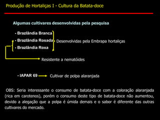 Algumas cultivares desenvolvidas pela pesquisa
- Brazlândia Branca
- Brazlândia Rosada
- Brazlândia Roxa
Desenvolvidas pela Embrapa hortaliças
Resistente a nematóides
- IAPAR 69 Cultivar de polpa alaranjada
OBS: Seria interessante o consumo de batata-doce com a coloração alaranjada
(rica em carotenos), porém o consumo deste tipo de batata-doce não aumentou,
devido a alegação que a polpa é úmida demais e o sabor é diferente das outras
cultivares do mercado.
Produção de Hortaliças I - Cultura da Batata-doce
 