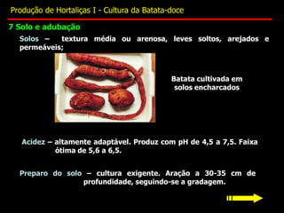 Solos – textura média ou arenosa, leves soltos, arejados e
permeáveis;
Acidez – altamente adaptável. Produz com pH de 4,5 a 7,5. Faixa
ótima de 5,6 a 6,5.
Preparo do solo – cultura exigente. Aração a 30-35 cm de
profundidade, seguindo-se a gradagem.
Batata cultivada em
solos encharcados
7 Solo e adubação
Produção de Hortaliças I - Cultura da Batata-doce
 