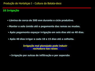 • Manter o solo úmido até o pegamento das ramas ou mudas.
• Após pegamento espaçar irrigação em seis dias até os 40 dias.
• Após 40 dias irrigar a cada 10 a 15 dias até a colheita.
Irrigação mal planejada pode induzir
rachadura nas raízes
• Irrigação por sulcos de infiltração e por aspersão
• Lâmina de cerca de 500 mm durante o ciclo produtivo.
10 Irrigação
Produção de Hortaliças I - Cultura da Batata-doce
 