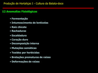 • Fermentação
• Intumescimento de lenticelas
• Raiz chicote
• Rachaduras
• Escaldadura
• Coração duro
• Decomposição interna
• Mutações somáticas
• Toxidez por herbicidas
• Brotações prematuras de raízes
• Deformações de raízes
12 Anomalias Fisiológicas
Produção de Hortaliças I - Cultura da Batata-doce
 