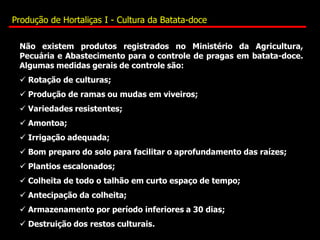 Não existem produtos registrados no Ministério da Agricultura,
Pecuária e Abastecimento para o controle de pragas em batata-doce.
Algumas medidas gerais de controle são:
 Rotação de culturas;
 Produção de ramas ou mudas em viveiros;
 Variedades resistentes;
 Amontoa;
 Irrigação adequada;
 Bom preparo do solo para facilitar o aprofundamento das raízes;
 Plantios escalonados;
 Colheita de todo o talhão em curto espaço de tempo;
 Antecipação da colheita;
 Armazenamento por período inferiores a 30 dias;
 Destruição dos restos culturais.
Produção de Hortaliças I - Cultura da Batata-doce
 