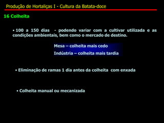 • 100 a 150 dias - podendo variar com a cultivar utilizada e as
condições ambientais, bem como o mercado de destino.
Mesa – colheita mais cedo
Indústria – colheita mais tardia
• Eliminação de ramas 1 dia antes da colheita com enxada
• Colheita manual ou mecanizada
16 Colheita
Produção de Hortaliças I - Cultura da Batata-doce
 