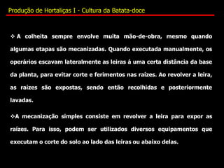  A colheita sempre envolve muita mão-de-obra, mesmo quando
algumas etapas são mecanizadas. Quando executada manualmente, os
operários escavam lateralmente as leiras á uma certa distância da base
da planta, para evitar corte e ferimentos nas raízes. Ao revolver a leira,
as raízes são expostas, sendo então recolhidas e posteriormente
lavadas.
A mecanização simples consiste em revolver a leira para expor as
raízes. Para isso, podem ser utilizados diversos equipamentos que
executam o corte do solo ao lado das leiras ou abaixo delas.
Produção de Hortaliças I - Cultura da Batata-doce
 