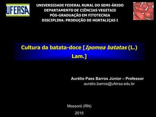 Aurélio Paes Barros Júnior – Professor
aurelio.barros@ufersa.edu.br
Mossoró (RN)
2015
Cultura da batata-doce [Ipomea batatas (L.)
Lam.]
UNIVERSIDADE FEDERAL RURAL DO SEMI-ÁRIDO
DEPARTAMENTO DE CIÊNCIAS VEGETAIS
PÓS-GRADUAÇÃO EM FITOTECNIA
DISCIPLINA: PRODUÇÃO DE HORTALIÇAS I
 