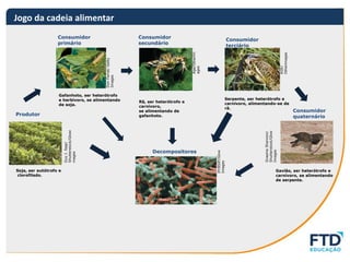 AULA-BIOLOGIA-JOGO-DA-CADEIA-ALIMENTAR.pdf