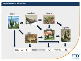 AULA-BIOLOGIA-JOGO-DA-CADEIA-ALIMENTAR.pdf