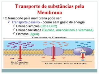 Transporte de substâncias pela
                 Membrana
• O transporte pela membrana pode ser:
    Transporte passivo - ocorre sem gasto de energia
        Difusão simples (O2 e CO2)
        Difusão facilitada (Glicose, aminoácidos e vitaminas)
        Osmose (água)
 