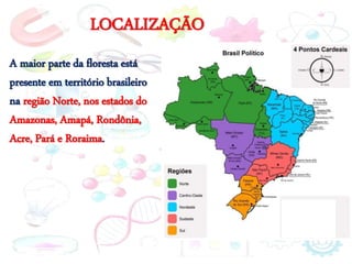 LOCALIZAÇÃO
A maior parte da floresta está
presente em território brasileiro
na região Norte, nos estados do
Amazonas, Amapá, Rondônia,
Acre, Pará e Roraima.
 