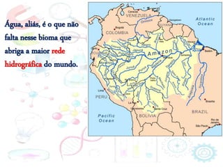 Água, aliás, é o que não
falta nesse bioma que
abriga a maior rede
hidrográfica do mundo.
 