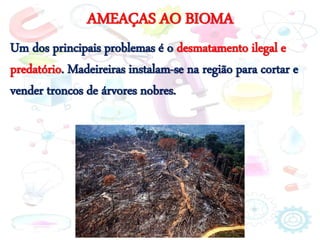 AMEAÇAS AO BIOMA
Um dos principais problemas é o desmatamento ilegal e
predatório. Madeireiras instalam-se na região para cortar e
vender troncos de árvores nobres.
 