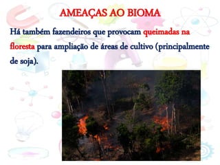 AMEAÇAS AO BIOMA
Há também fazendeiros que provocam queimadas na
floresta para ampliação de áreas de cultivo (principalmente
de soja).
 