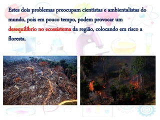 Estes dois problemas preocupam cientistas e ambientalistas do
mundo, pois em pouco tempo, podem provocar um
desequilíbrio no ecossistema da região, colocando em risco a
floresta.
 