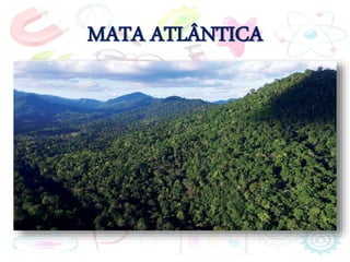 MATA ATLÂNTICA
 
