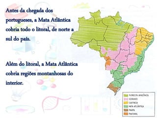 Antes da chegada dos
portugueses, a Mata Atlântica
cobria todo o litoral, de norte a
sul do país.
Além do litoral, a Mata Atlântica
cobria regiões montanhosas do
interior.
 