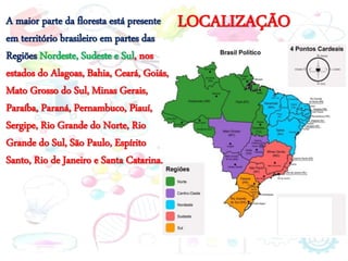 LOCALIZAÇÃO
A maior parte da floresta está presente
em território brasileiro em partes das
Regiões Nordeste, Sudeste e Sul, nos
estados do Alagoas, Bahia, Ceará, Goiás,
Mato Grosso do Sul, Minas Gerais,
Paraíba, Paraná, Pernambuco, Piauí,
Sergipe, Rio Grande do Norte, Rio
Grande do Sul, São Paulo, Espírito
Santo, Rio de Janeiro e Santa Catarina.
 
