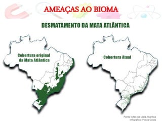 AMEAÇAS AO BIOMA
 