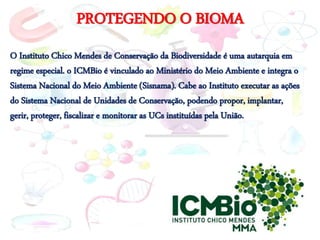 PROTEGENDO O BIOMA
O Instituto Chico Mendes de Conservação da Biodiversidade é uma autarquia em
regime especial. o ICMBio é vinculado ao Ministério do Meio Ambiente e integra o
Sistema Nacional do Meio Ambiente (Sisnama). Cabe ao Instituto executar as ações
do Sistema Nacional de Unidades de Conservação, podendo propor, implantar,
gerir, proteger, fiscalizar e monitorar as UCs instituídas pela União.
 