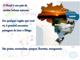 O Brasil é um país de
muitas belezas naturais.
Em qualquer região que você
vá, é possível encontrar
paisagens de tirar o fôlego.
São praias, montanhas, campos, florestas, manguezais.
 