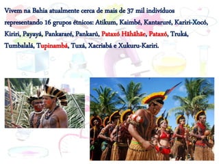 Vivem na Bahia atualmente cerca de mais de 37 mil indivíduos
representando 16 grupos étnicos: Atikum, Kaimbé, Kantaruré, Kariri-Xocó,
Kiriri, Payayá, Pankararé, Pankarú, Pataxó Hãhãhãe, Pataxó, Truká,
Tumbalalá, Tupinambá, Tuxá, Xacriabá e Xukuru-Kariri.
 