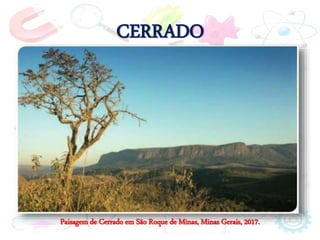 CERRADO
Paisagem de Cerrado em São Roque de Minas, Minas Gerais, 2017.
 