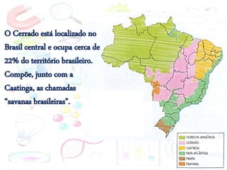 O Cerrado está localizado no
Brasil central e ocupa cerca de
22% do território brasileiro.
Compõe, junto com a
Caatinga, as chamadas
“savanas brasileiras”.
 