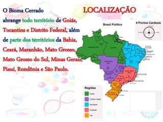 LOCALIZAÇÃO
O Bioma Cerrado
abrange todo território de Goiás,
Tocantins e Distrito Federal, além
de parte dos territórios da Bahia,
Ceará, Maranhão, Mato Grosso,
Mato Grosso do Sul, Minas Gerais,
Piauí, Rondônia e São Paulo.
 