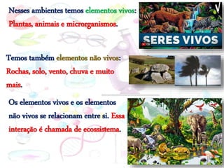 Nesses ambientes temos elementos vivos:
Plantas, animais e microrganismos.
Temos também elementos não vivos:
Rochas, solo, vento, chuva e muito
mais.
Os elementos vivos e os elementos
não vivos se relacionam entre si. Essa
interação é chamada de ecossistema.
 