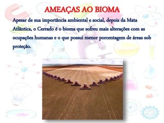 AMEAÇAS AO BIOMA
Apesar de sua importância ambiental e social, depois da Mata
Atlântica, o Cerrado é o bioma que sofreu mais alterações com as
ocupações humanas e o que possui menor porcentagem de áreas sob
proteção.
 
