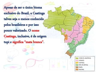 Apesar de ser o único bioma
exclusivo do Brasil, a Caatinga
talvez seja o menos conhecido
pelos brasileiros e por isso
pouco valorizado. O nome
Caatinga, inclusive, é de origem
tupi e significa “mata branca”.
 