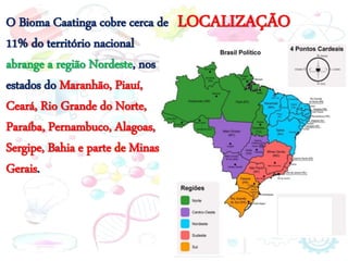 LOCALIZAÇÃO
O Bioma Caatinga cobre cerca de
11% do território nacional
abrange a região Nordeste, nos
estados do Maranhão, Piauí,
Ceará, Rio Grande do Norte,
Paraíba, Pernambuco, Alagoas,
Sergipe, Bahia e parte de Minas
Gerais.
 