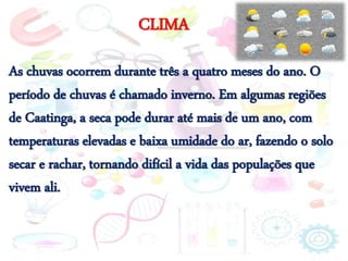 CLIMA
As chuvas ocorrem durante três a quatro meses do ano. O
período de chuvas é chamado inverno. Em algumas regiões
de Caatinga, a seca pode durar até mais de um ano, com
temperaturas elevadas e baixa umidade do ar, fazendo o solo
secar e rachar, tornando difícil a vida das populações que
vivem ali.
 