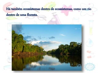 Há também ecossistemas dentro de ecossistemas, como um rio
dentro de uma floresta.
 