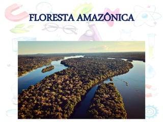 FLORESTA AMAZÔNICA
 