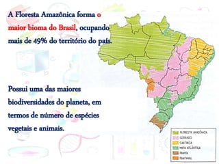A Floresta Amazônica forma o
maior bioma do Brasil, ocupando
mais de 49% do território do país.
Possui uma das maiores
biodiversidades do planeta, em
termos de número de espécies
vegetais e animais.
 