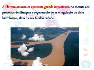 A Floresta amazônica apresenta grande importância no tocante aos
processos de filtragem e regeneração do ar e regulação do ciclo
hidrológico, além da sua biodiversidade.
 