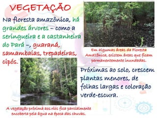 VEGETAÇÃO
Na floresta amazônica, há
grandes árvores – como a
seringueira e a castanheira
do Pará –, guaraná,
samambaias, trepadeiras,
cipós.
Próximas ao solo, crescem
plantas menores, de
folhas largas e coloração
verde-escura.
Em algumas áreas da Floresta
Amazônica, existem áreas que ficam
permanentemente inundadas.
A vegetação próxima aos rios fica parcialmente
encoberta pela água na época das chuvas.
 