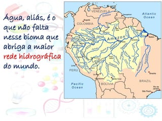 Água, aliás, é o
que não falta
nesse bioma que
abriga a maior
rede hidrográfica
do mundo.
 