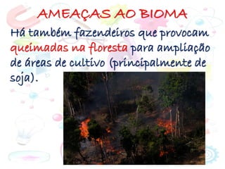 AMEAÇAS AO BIOMA
Há também fazendeiros que provocam
queimadas na floresta para ampliação
de áreas de cultivo (principalmente de
soja).
 