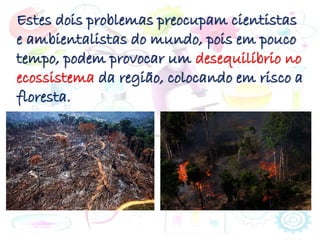 Estes dois problemas preocupam cientistas
e ambientalistas do mundo, pois em pouco
tempo, podem provocar um desequilíbrio no
ecossistema da região, colocando em risco a
floresta.
 