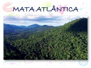 MATA ATLÂNTICA
 