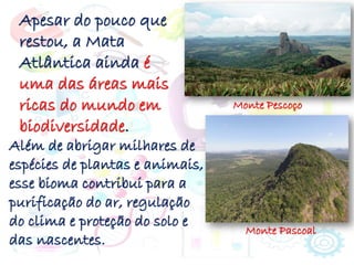 Apesar do pouco que
restou, a Mata
Atlântica ainda é
uma das áreas mais
ricas do mundo em
biodiversidade.
Além de abrigar milhares de
espécies de plantas e animais,
esse bioma contribui para a
purificação do ar, regulação
do clima e proteção do solo e
das nascentes.
Monte Pescoço
Monte Pascoal
 