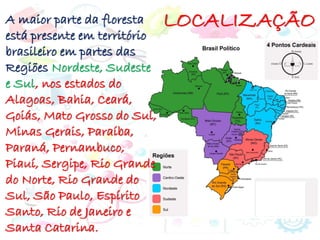 LOCALIZAÇÃO
A maior parte da floresta
está presente em território
brasileiro em partes das
Regiões Nordeste, Sudeste
e Sul, nos estados do
Alagoas, Bahia, Ceará,
Goiás, Mato Grosso do Sul,
Minas Gerais, Paraíba,
Paraná, Pernambuco,
Piauí, Sergipe, Rio Grande
do Norte, Rio Grande do
Sul, São Paulo, Espírito
Santo, Rio de Janeiro e
Santa Catarina.
 