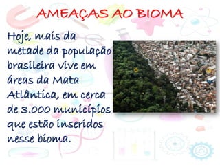 AMEAÇAS AO BIOMA
Hoje, mais da
metade da população
brasileira vive em
áreas da Mata
Atlântica, em cerca
de 3.000 municípios
que estão inseridos
nesse bioma.
 